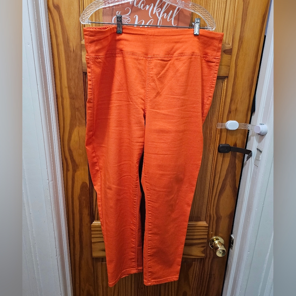 DG2 Diane Gilman HSN stretch jeans (plus size L =16)
